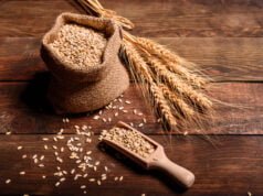 Molineros generan 1,36 millones toneladas de harina de trigo fortificada, para la producción de alimentos esenciales en la nutrición de los colombianos