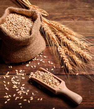 Molineros generan 1,36 millones toneladas de harina de trigo fortificada, para la producción de alimentos esenciales en la nutrición de los colombianos