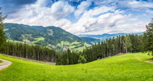 Colombia: potencia forestal de América Latina