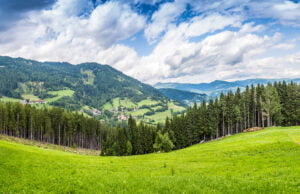 Colombia: potencia forestal de América Latina