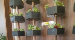 Patentes de UNIMINUTO que aportan a la sostenibilidad,el desarrollo y la transformación, están presentes en la FILbo 2023