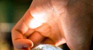 Xiaomi presenta su Estrategia Climática para apoyar las emisiones netas globales de GEI cero