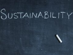 Sostenibilidad y liderazgo: fuentes del nuevo modelo empresarial