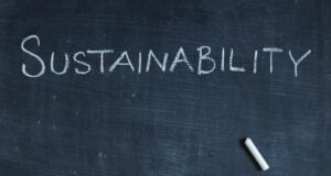 Sostenibilidad y liderazgo: fuentes del nuevo modelo empresarial