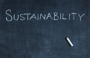 Sostenibilidad y liderazgo: fuentes del nuevo modelo empresarial