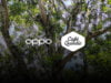 OPPO y Café Quindío se unen para honrar a las madres colombianas