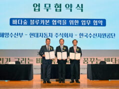 Hyundai Motor protegerá los ecosistemas de carbono azul en asociación con entidades gubernamentales coreanas