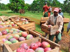 La inclusión financiera rural se logra fiando, una innovación fintech