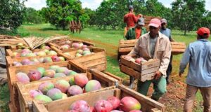 La inclusión financiera rural se logra fiando, una innovación fintech