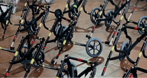 Movilidad para todos: perritos que vuelven a caminar