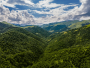 Colombia, en el top 5 de los países más atractivos para la inversión en América Latina