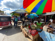 La corresponsalía bancaria de crédito, el as bajo la manga de las fintech para impulsar la producción rural