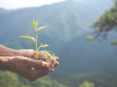 Minsait recibe el sello verde de verdad gracias a su compromiso ambiental en 6 países de la región andina y el cono sur