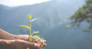 Minsait recibe el sello verde de verdad gracias a su compromiso ambiental en 6 países de la región andina y el cono sur