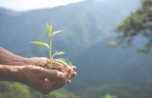 Minsait recibe el sello verde de verdad gracias a su compromiso ambiental en 6 países de la región andina y el cono sur