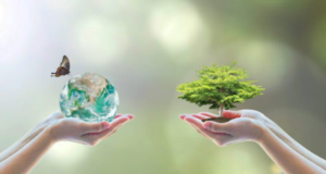 Sostenibilidad empresarial de la mano de la tecnología