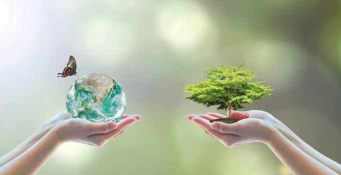 Sostenibilidad empresarial de la mano de la tecnología