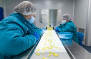 Digital Kitchen connected, la solución que revoluciona la industria alimentaria con tecnología, ya está en Colombia