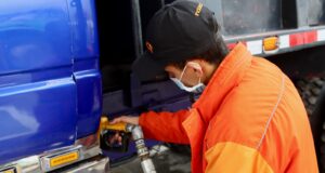 Día Internacional del Biodíesel: el programa B20 permitió eliminar la emisión de más de 8.000 toneladas de CO2 eq en un año.