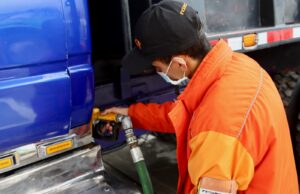 Día Internacional del Biodíesel: el programa B20 permitió eliminar la emisión de más de 8.000 toneladas de CO2 eq en un año.