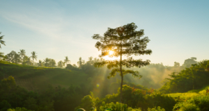 DECATHLON estará presente en la Cumbre Internacional de Sostenibilidad e Innovación Ambiental
