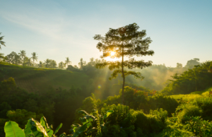 DECATHLON estará presente en la Cumbre Internacional de Sostenibilidad e Innovación Ambiental