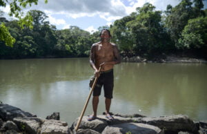 Casi 2.000 personas defensoras de la tierra y el medioambiente asesinadas entre 2012 y 2022 por proteger el planeta