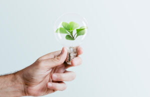 Schneider Electric supera las expectativas en sostenibilidad durante el 2024