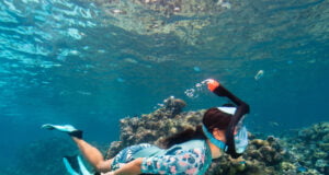 Durante la primera edición de los Reveal Innovation Awards 2023 Decathlon Colombia presentó los productos más innovadores del año