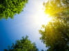 Cómo garantizar la energía en tiempos de sequía