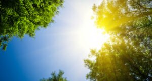 Cómo garantizar la energía en tiempos de sequía