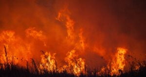 Catástrofes naturales causaron pérdidas de 380 mil millones de dólares a nivel mundial en el 2023