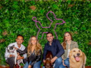 LAIKA cumple su sexto aniversario con 300.000 Members en la Latinoamérica