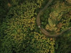 Día de la Tierra: ¿Por qué la electricidad 4.0 es una vía directa al Carbon Zero?