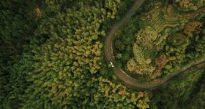 Día de la Tierra: ¿Por qué la electricidad 4.0 es una vía directa al Carbon Zero?