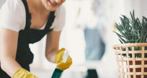 Conozca los servicios domésticos más rentables para aumentar ingresos en Colombia
