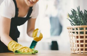 Conozca los servicios domésticos más rentables para aumentar ingresos en Colombia