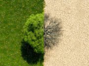 Más allá de infraestructuras rotas: Swiss Re explora los efectos en cascada de las catástrofes naturales y otros riesgos emergentes clave