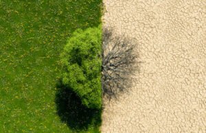 Más allá de infraestructuras rotas: Swiss Re explora los efectos en cascada de las catástrofes naturales y otros riesgos emergentes clave