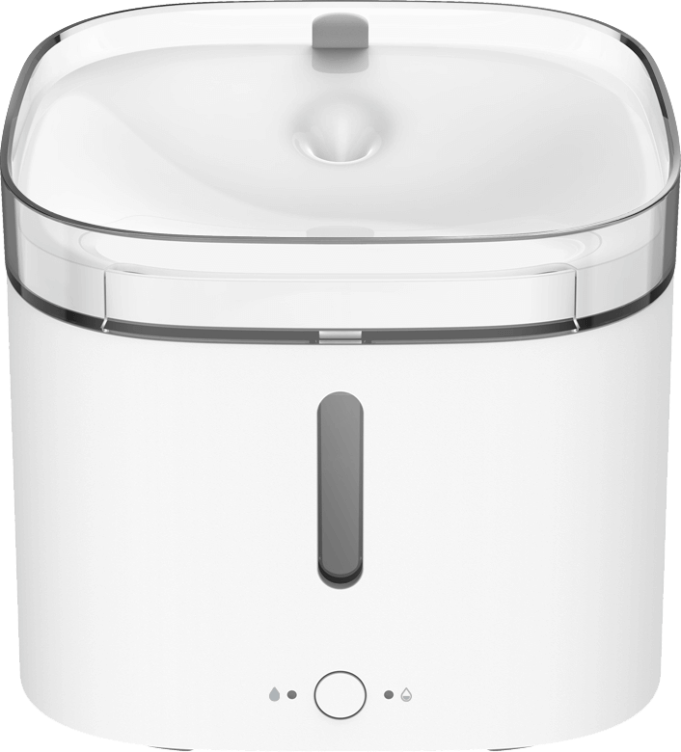 Tecnología para Tu Mejor Amigo: Xiaomi y sus Gadgets en el Día Mundial del Perro