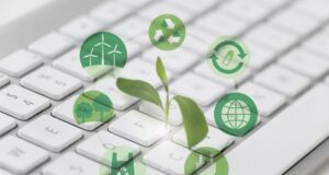 El acceso a la información: clave para la transparencia y la sostenibilidad empresarial