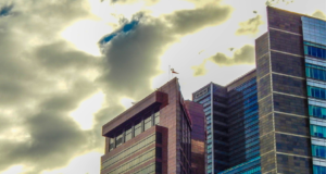 Colliers celebra 25 años en Colombia y revela cuatro indicadores clave para el crecimiento del mercado inmobiliario corporativo