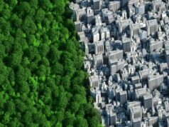 Estudio de IBM destaca el potencial de la IA generativapara alcanzar el éxito en tecnologías sostenibles en Latinoamérica