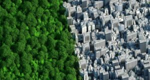 Estudio de IBM destaca el potencial de la IA generativapara alcanzar el éxito en tecnologías sostenibles en Latinoamérica