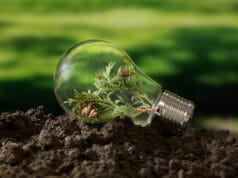 Economía circular y tecnología: claves para la sostenibilidad y la Biodiversidad