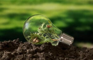 Economía circular y tecnología: claves para la sostenibilidad y la Biodiversidad