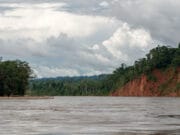 El rol de los seguros en la conservación de la biodiversidad