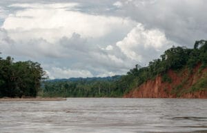 El rol de los seguros en la conservación de la biodiversidad