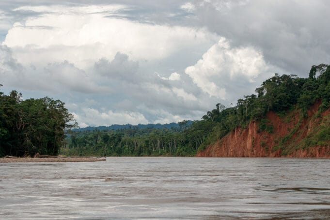 El rol de los seguros en la conservación de la biodiversidad