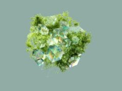 Schneider Electric anuncia nuevas soluciones para hacer frente a los retos energéticos y de sostenibilidad impulsados por la IA